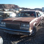 1977 Buick Century (77BU9713D)