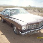 1975 Buick Special (75BU7062D)