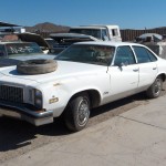 1976 Buick Century (76BU3768D)