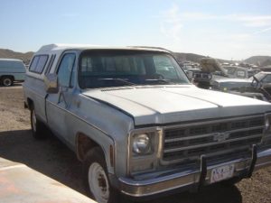 1979 Chevy-Truck  (79CT1030D)