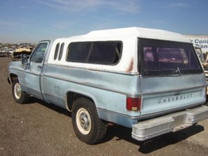 1979 Chevy-Truck  (79CT1030D)