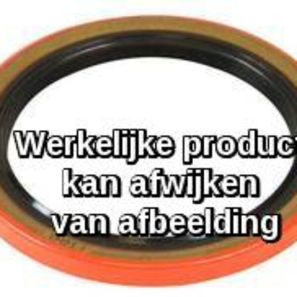 Wiellager keerring 6815